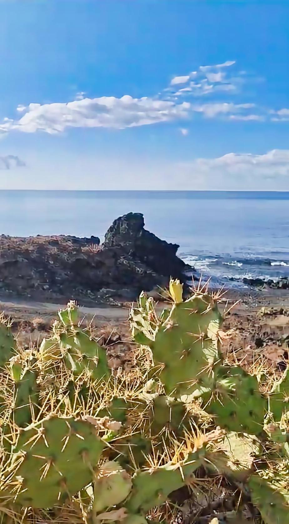 Casa Palmu Apartment - A Peaceful And Relaxing Oasis In Golf Del Sur, Tenerife San Miguel de Abona Exteriör bild