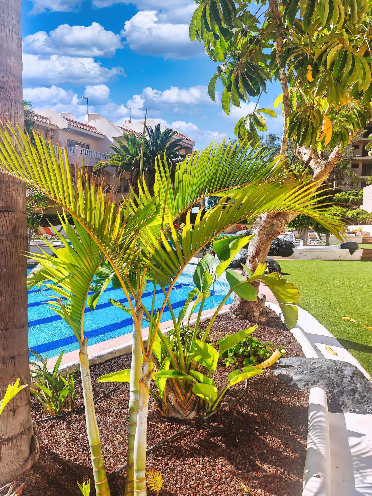 Casa Palmu Apartment - A Peaceful And Relaxing Oasis In Golf Del Sur, Tenerife San Miguel de Abona Exteriör bild
